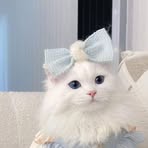 Ramsi Ray - Facebook Profile Picture of Ramsi Ray (@Ramsi-Ray) on Facebook