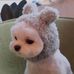 Profile Picture of Renee Chow (@renee.chow.56) on Facebook