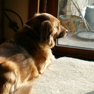 Profile Picture of Steven Schultz (@steven.schultz.359778) on Facebook