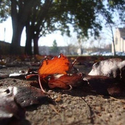 Profile Picture of David Arendt (@Davidarendt) on Twitter
