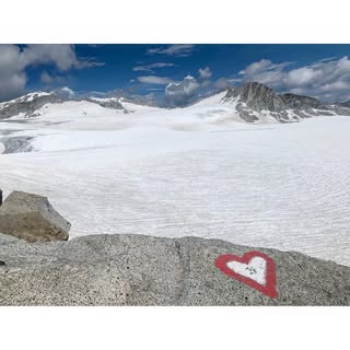 Profile Picture of Janet Goodstein (@goodsteinjanet) on Instagram