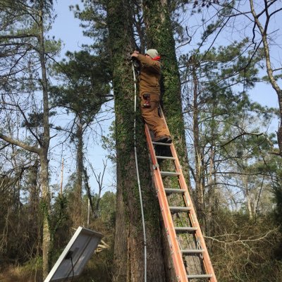 Profile Picture of Christian Pollock (@christi30640616) on Twitter