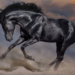 Profile Picture of Miguel Isaac Garay Tello (@MiguelisaacGar3) on Twitter