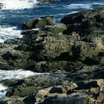 Profile Picture of BenjaminYork (@benjaminyorkj) on Instagram