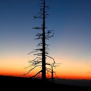 Profile Picture of Paul Balicky (@paulsb) on Myspace