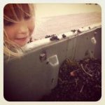 Profile Picture of Matt Fowles (@mattyfowles) on Instagram