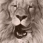 Profile Picture of Audrey Mona (@hellodarlingsweetie) on Instagram