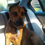 Jeremy Mackenzie - Instagram Profile Picture of Jeremy Mackenzie (@jeremypgreenwood) on Instagram