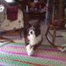 Profile Picture of Mark Gauthier (@mark.gauthier.3726) on Facebook