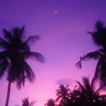 Profile Picture of Emmy Joy Bradley (@emmyjoyhart) on Instagram