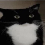 Profile Picture of Edward Eggclott (@edward.edmund.501) on Facebook