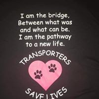 Profile Picture of Sherry Werner (@sherry-werner-5) on Quora