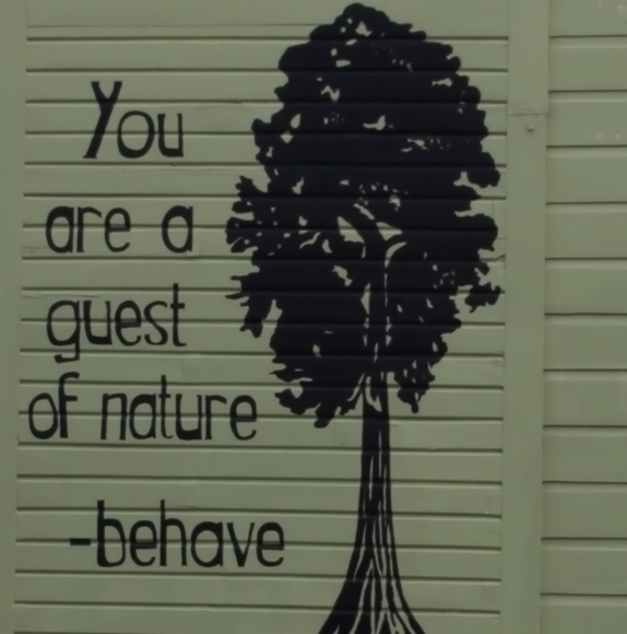 Profile Picture of Kim Thayer (@032teeth) on Poshmark