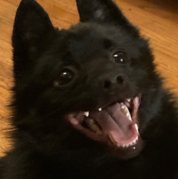 Jood Wilz - Poshmark Profile Picture of Jood Wilz (@jujuwizzle08) on Poshmark