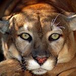 Profile Picture of Matthew Susman (@hdfilmdoctor2016) on Instagram