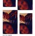 Profile Picture of Daniel Mireles (@daniel.mireles.96387189) on Facebook