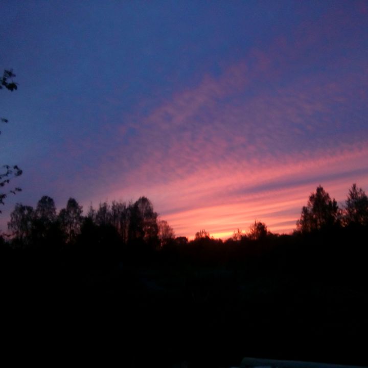 Profile Picture of Paul Makarenno... (@pahan228gg) on Tiktok