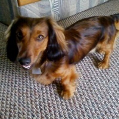 Profile Picture of Rusty Kemp (@Rustykemp1) on Twitter
