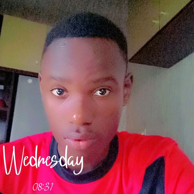 Profile Picture of Josephbacci (@josephbacci0) on Tiktok
