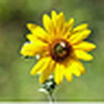 Profile Picture of Steve Torres (@stevetorresmd) on Flickr