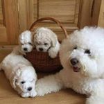 Profile Picture of Lily Ruiz (@lily.ruiz.165) on Instagram