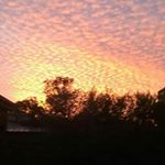 Profile Picture of Isaac Anderson (@izey.123) on Instagram