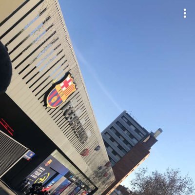 Profile Picture of 𝔄𝔫𝔤𝔢𝔩𝔦  🏹 (@BrardSingh) on Twitter