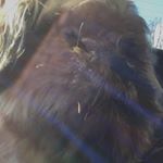 Profile Picture of Dylan Conroy (@conroy4353) on Instagram