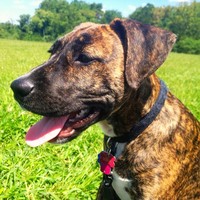 Profile Picture of Jeremy Waxman (@jeremy-waxman-1) on Quora