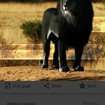 Profile Picture of christopher traylor (@bigtrae747) on Instagram