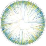 Michael Jaccard - Twitter Profile Picture of Michael Jaccard (@ikme17) on Twitter