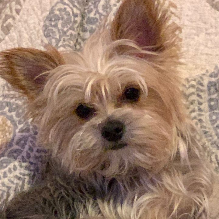 Profile Picture of Jeffrey Escobedo (@jordy_was_here_) on Tiktok