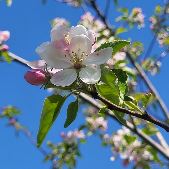 Maria Gapen - Poshmark Profile Picture of Maria Gapen (@mdawn26) on Poshmark