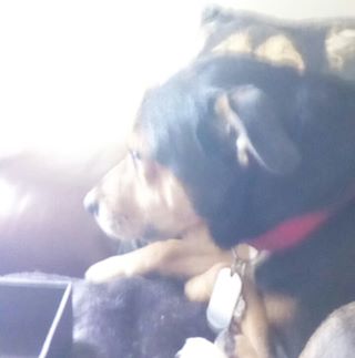 Profile Picture of Joyce Stead (@joyce.stead.589) on Facebook