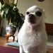 Profile Picture of Bernadette Nguyen (@btnguyen93) on Pinterest