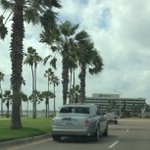 Profile Picture of Grant David (@krusensbu) on Instagram