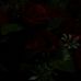 Profile Picture of George Manneh (@george.manneh.986) on Facebook