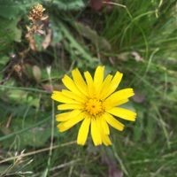 Profile Picture of Matthew Milne (@matthew-milne-38) on Quora