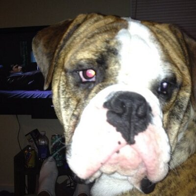 Profile Picture of James Saez (@SaezJames) on Twitter