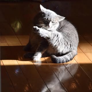 Profile Picture of Nicolette Thomas (@nicolette_thomas) on Instagram