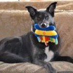 Profile Picture of Michael Lembeck (@lempapa) on Instagram