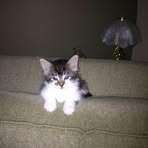 Profile Picture of Anthony DelGrego (@anthony.delgrego) on Facebook