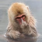 Profile Picture of Jason Drexel (@jason.drexel.52) on Facebook