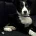 Profile Picture of Oliver Prior (@oliver.prior.9) on Facebook