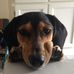 Profile Picture of Caren Schneider (@caren.schneider) on Facebook