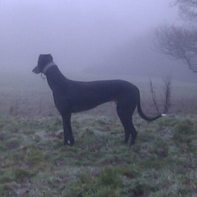 Profile Picture of Spencer Goddard (@spencebear) on Twitter