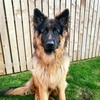 Profile Picture of Jonathan Mc (@@mcnultyjonathan) on Tiktok