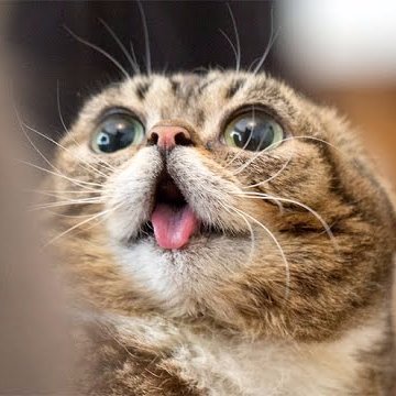 Profile Picture of Jess Hoch (@JessHoch_69) on Twitter