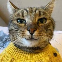 Profile Picture of Adam Mirza (@adam-mirza-12) on Quora