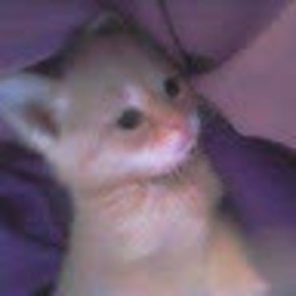 Profile Picture of Christina Gilmer (@chrissylmgilmer) on Poshmark